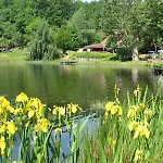 Vvf Les Vosges Vakantiepark Bitche